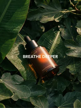 Breathe deeper — Green territory — fig leaves