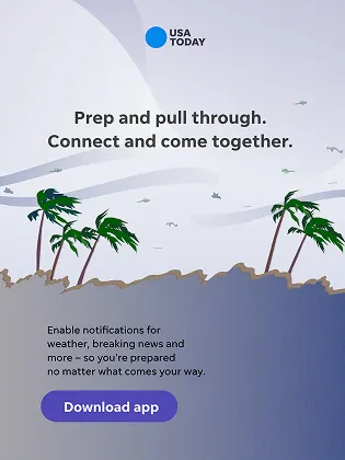 Illustrated hurricane card: palms bent flat by the wind